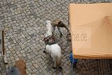 altenburg-trachtenfest-02-06-2012 (45)